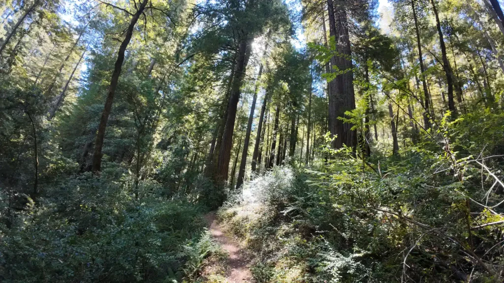 DJI_20240815104627_0043_D-ezgif.com-optiwebp