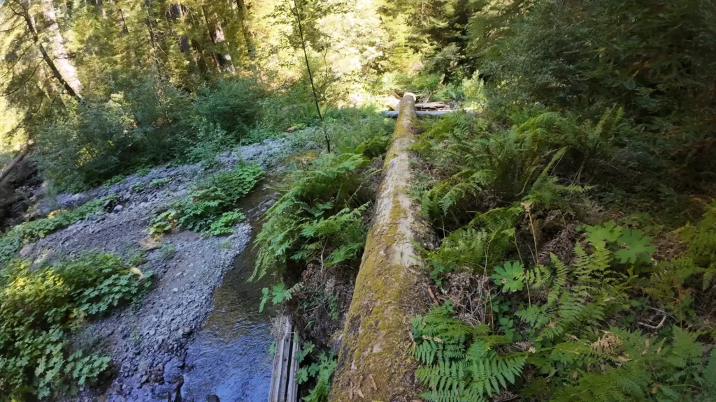 DJI_20240815105132_0046_D-ezgif.com-optiwebp