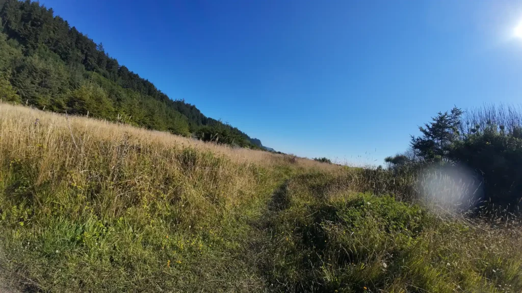 DJI_20240815171302_0068_D-ezgif.com-optiwebp