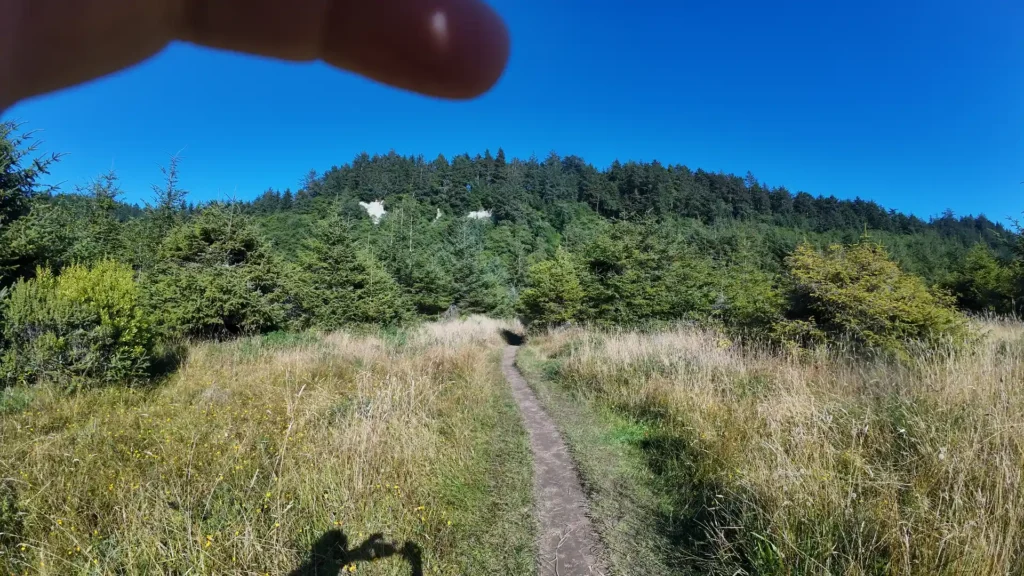 DJI_20240815171339_0073_D-ezgif.com-optiwebp